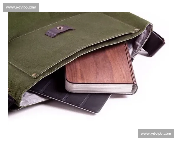 西甲平台全方位解析：赛事信息、球员动态与球队表现一网打尽